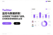 Twitter 监控与数据抓取：合规框架下构建用户画像，实现精准营销精细化运营