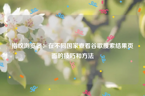 指纹浏览器：在不同国家查看谷歌搜索结果页面的技巧和方法