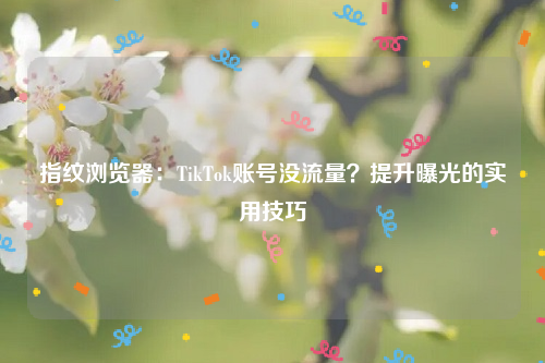 指纹浏览器：TikTok账号没流量？提升曝光的实用技巧